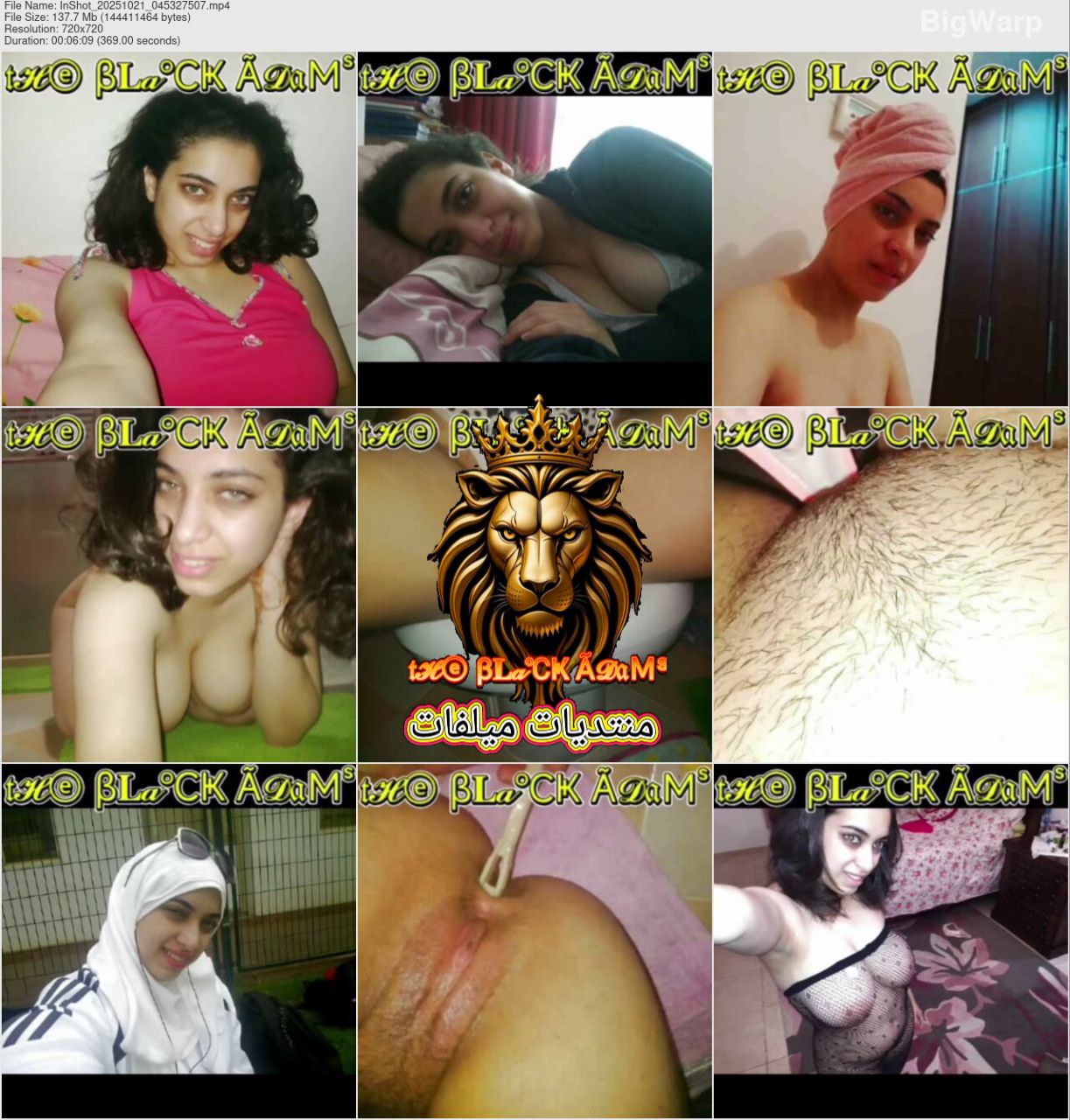 حصريا لمنتديات ميلفات الجزء الثاني الألبوم الكامل مكمل  لبوة محجبة شرموطة بكس مشعر وبزاز عاوزة تتاكل أكل محن وشرمطة وصور صعب تلاقيها