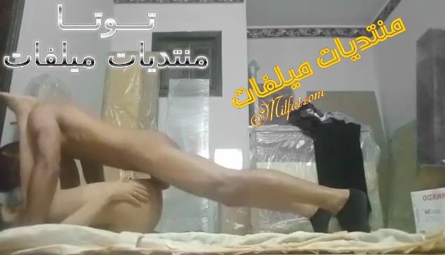 الجزء التاني سهرة نيك لبوة بجسم متين من عنتيل فاحت كسها دق منيمها ع بطنها ومنزل الكلوت وشغال خفر في كسها نيكة تجنن