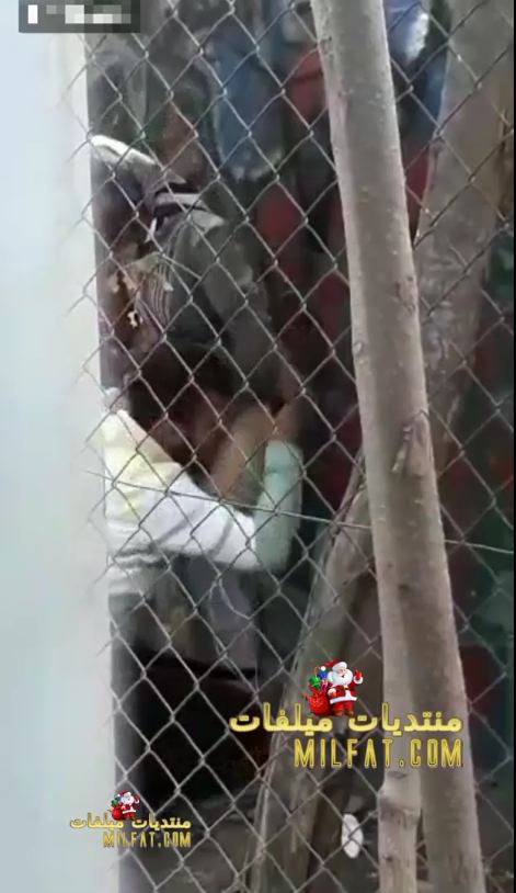 فيديو حصرى لسواق واخد بنت محجبة فى حته مهجورة رفعلها العباية وحط زبه فى كوسها وناكها على الواقف