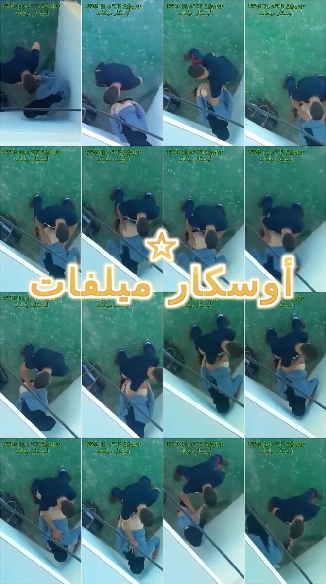 سهره نيك شرموطه مصريه وعشيقها فى شارع  وتمتعه بطيزها ويوثق لحظات المتعه((اوسكار ميلفات))